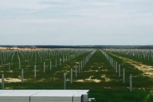 Taylor Solar GA-Grass Arrays